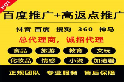 案例解读：SEM代理助力电商销量翻倍